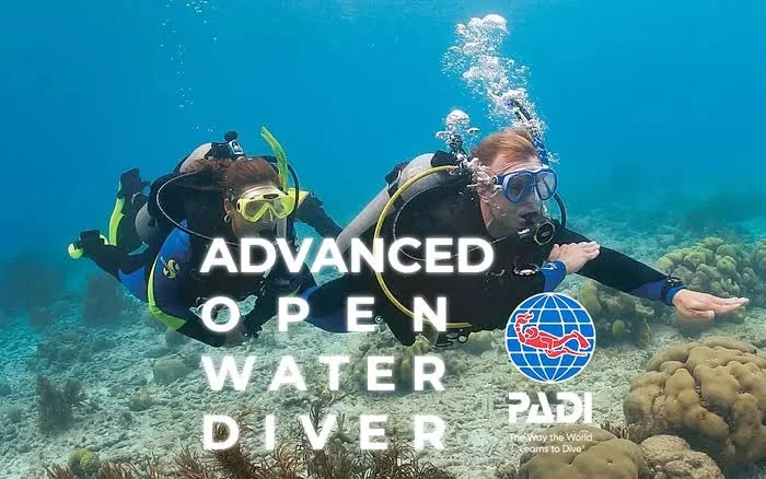 PADI Advanced Open Water Diver Course – Sharm El Sheikh — 1