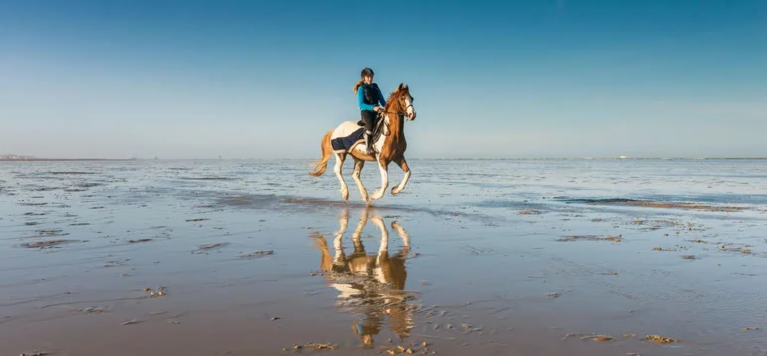 Horse Riding Safari – Desert or Sea — 9