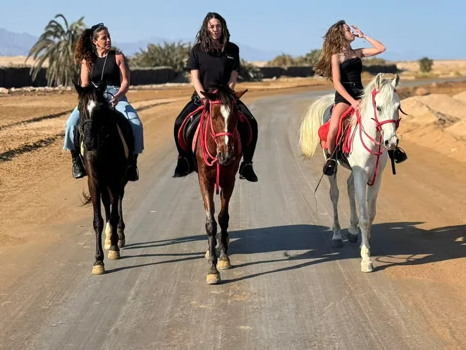 Horse Riding Safari – Desert or Sea — 1