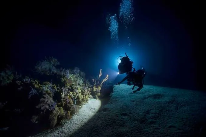 PADI Advanced Open Water Diver Course – Sharm El Sheikh — 7