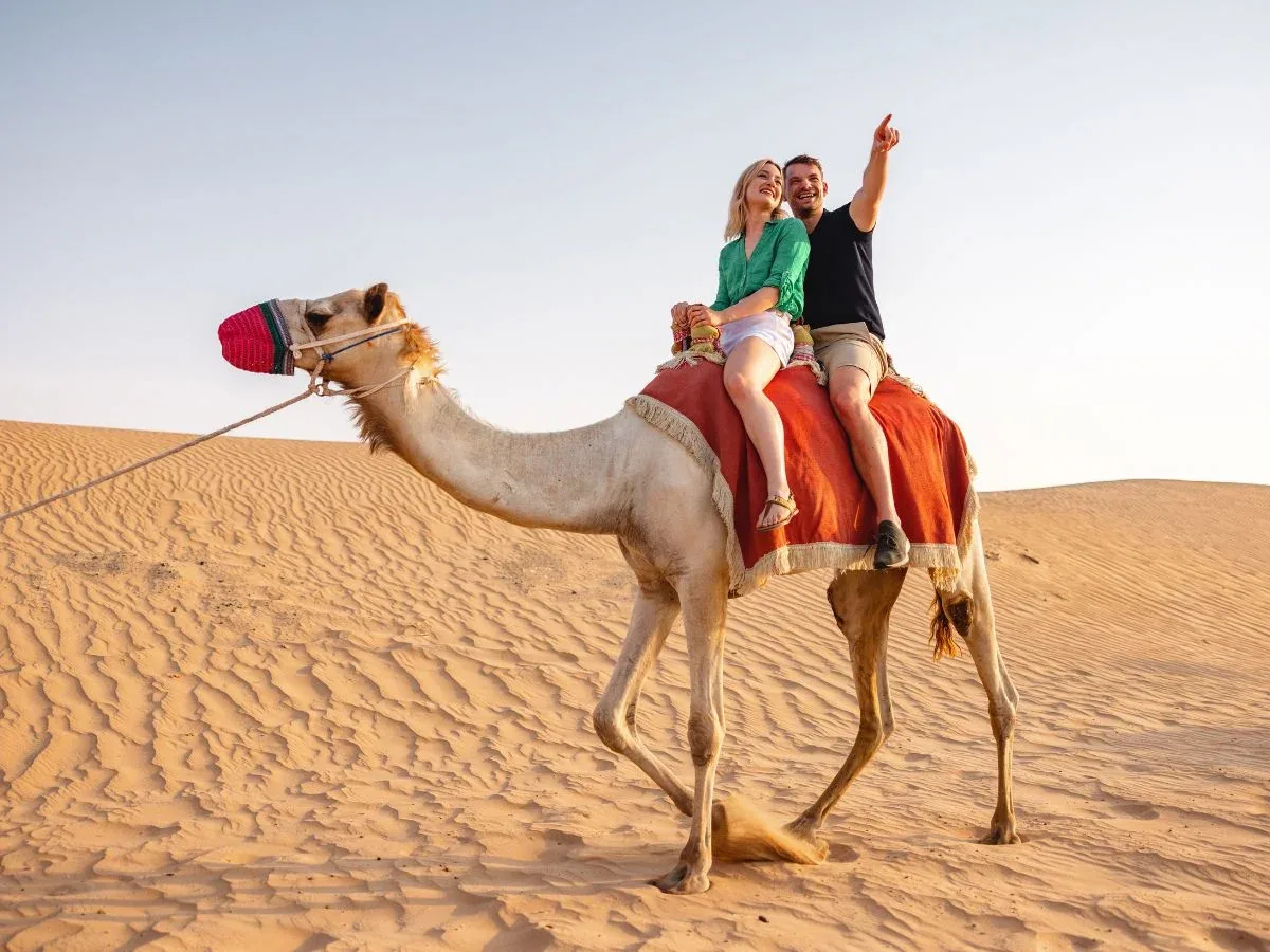 Camel Ride — 1