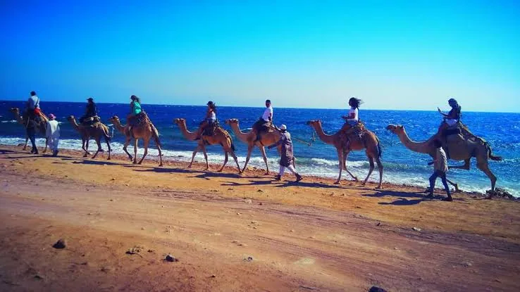 Dahab 5 in 1 Adventure – Salama Canyon — 1
