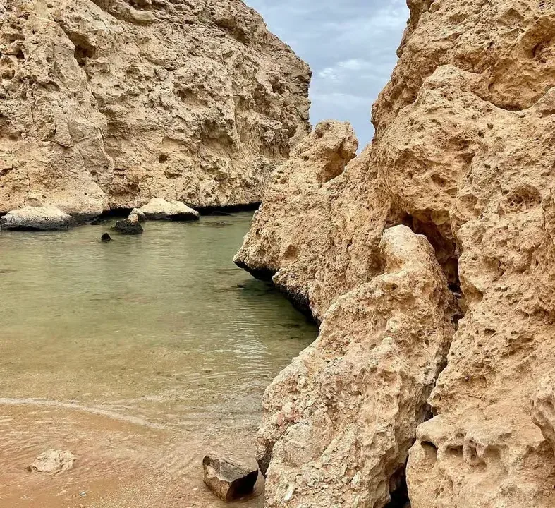 Ras Mohammed National Park – Half-Day Bus Tour — 7