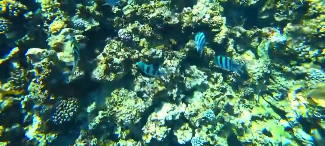 Dahab 6 in 1 – Colored Canyon — 8