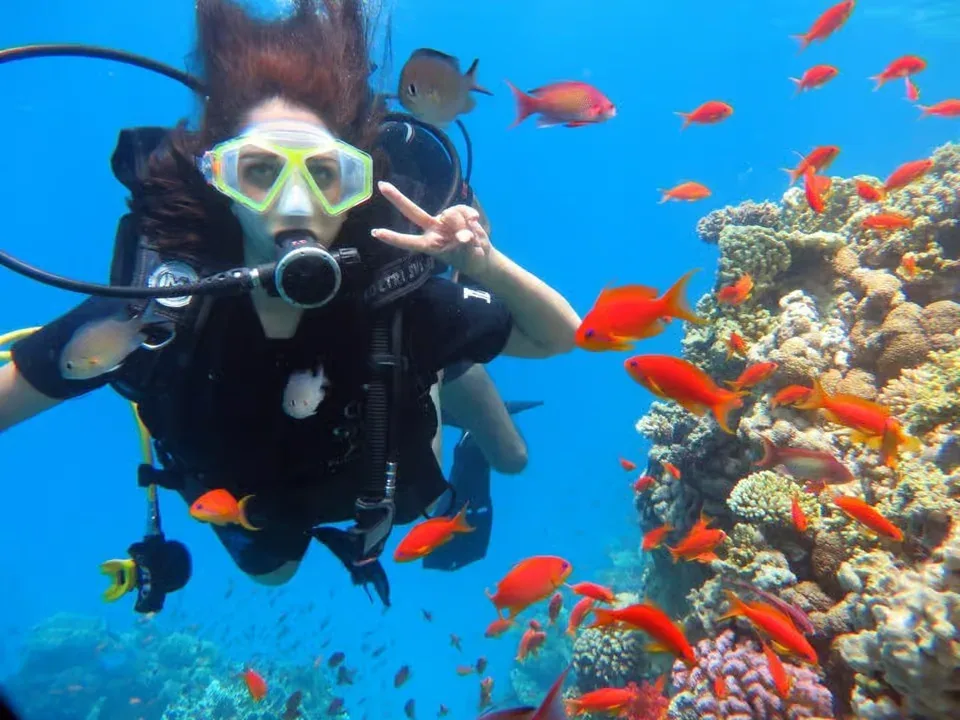 Sinai Maldives – White Island & Ras Mohammed — 7