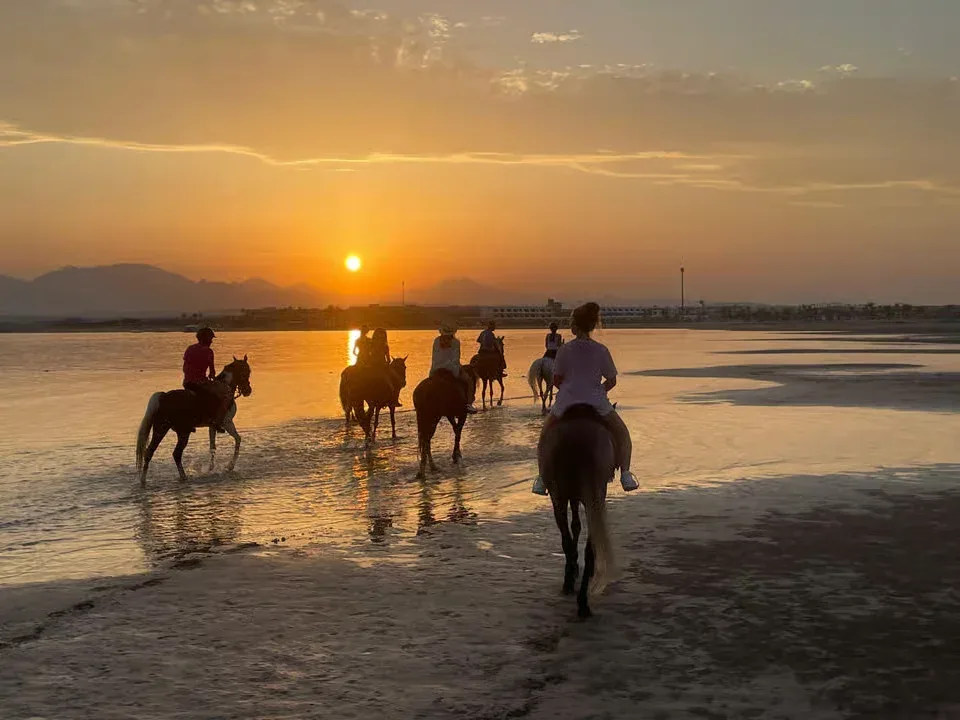 Horse Riding Safari – Desert or Sea — 8