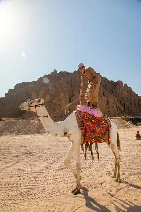Polaris Buggy Desert Safari — 7