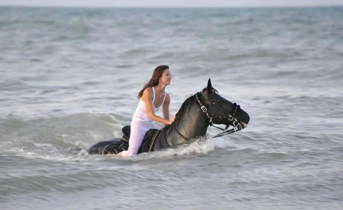 Horse Riding Safari – Desert or Sea — 4