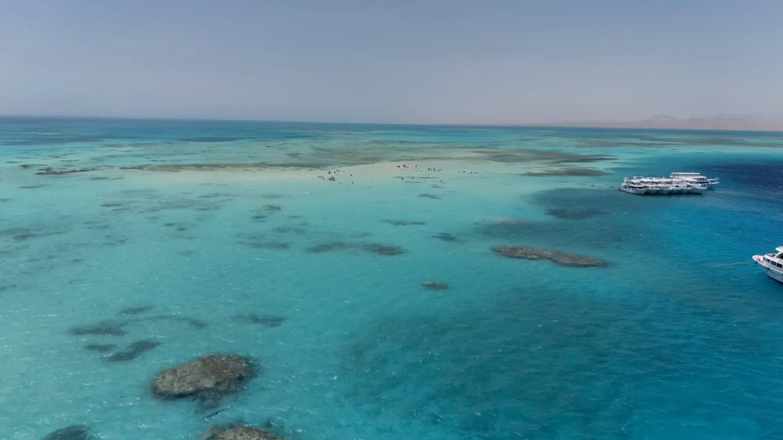 Premium White Island Snorkeling & Diving — 7