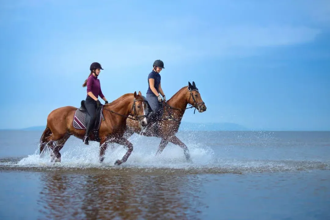 Horse Riding Safari – Desert or Sea — 3