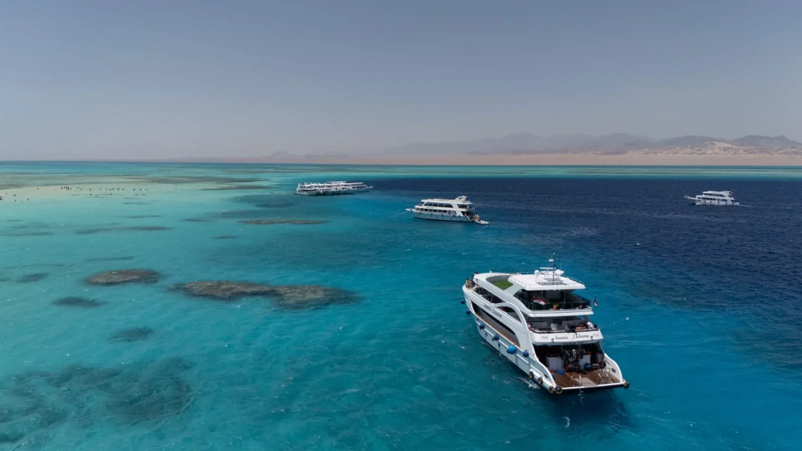 Premium White Island Snorkeling & Diving — 5