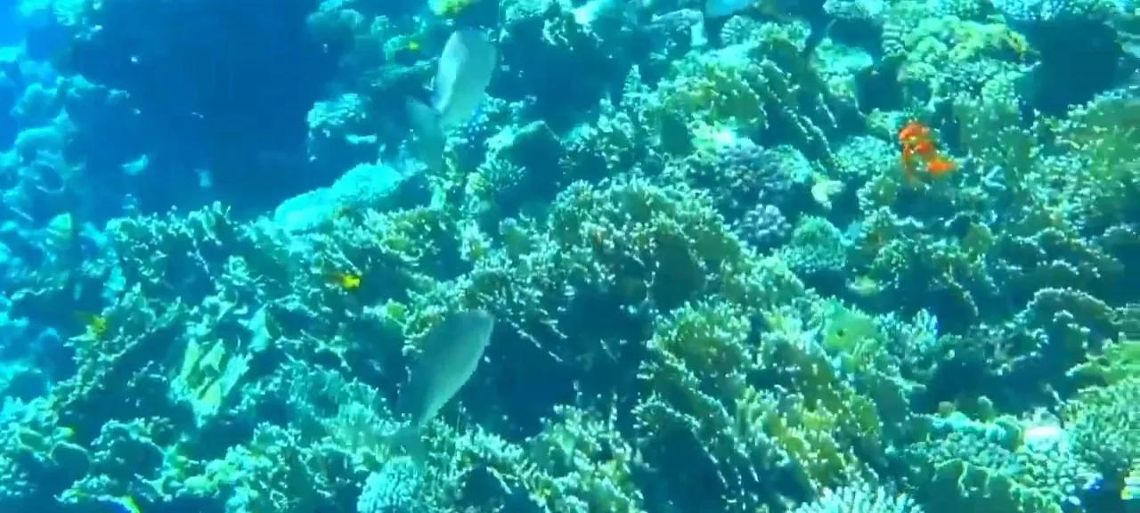 Dahab 6 in 1 – Colored Canyon — 7