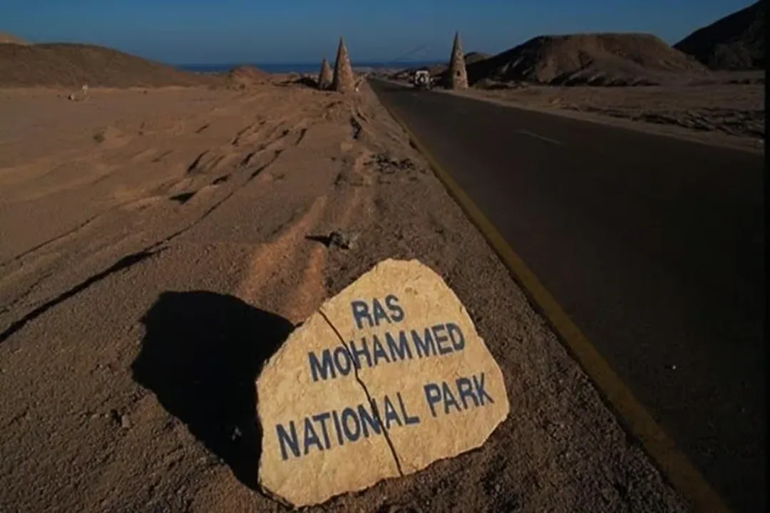 Ras Mohammed National Park – Half-Day Bus Tour — 3