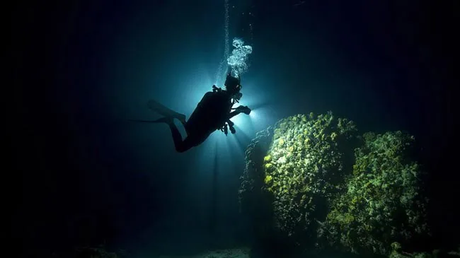 PADI Advanced Open Water Diver Course – Sharm El Sheikh — 6
