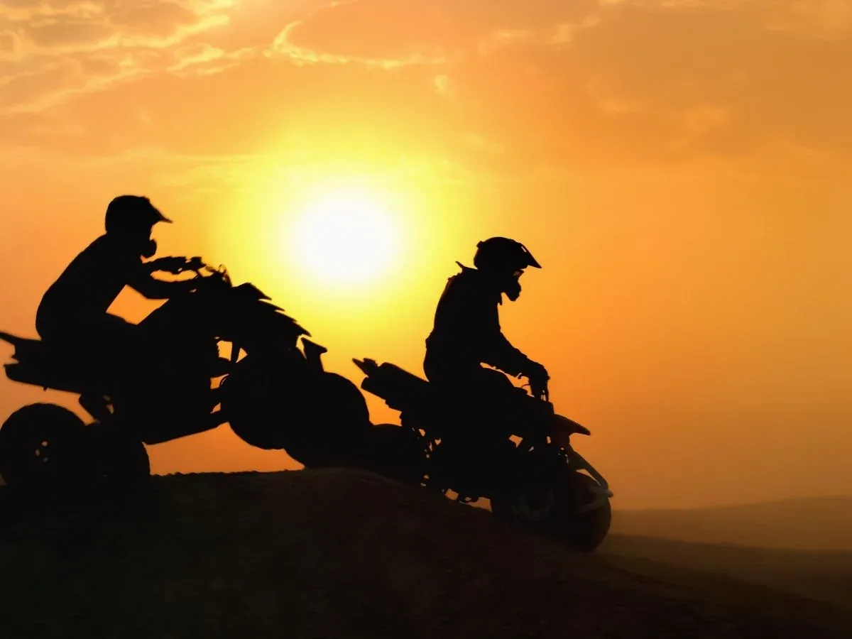 Super Safari Sunset Adventure — 5