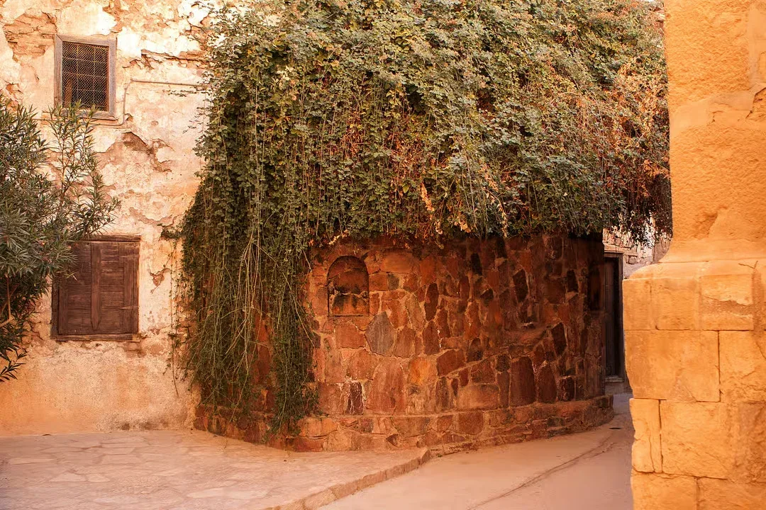 St. Catherine & Dahab — 8