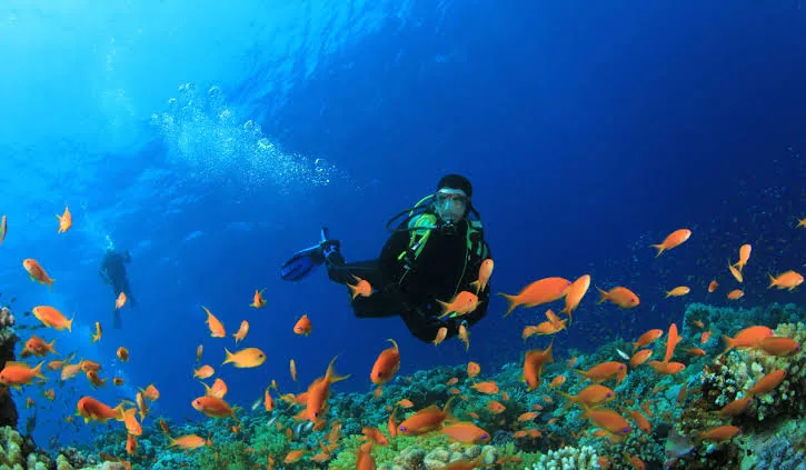 PADI Advanced Open Water Diver Course – Sharm El Sheikh — 4