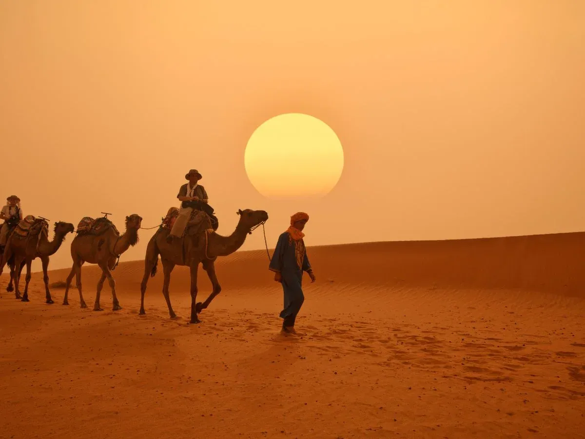 Camel Ride — 2