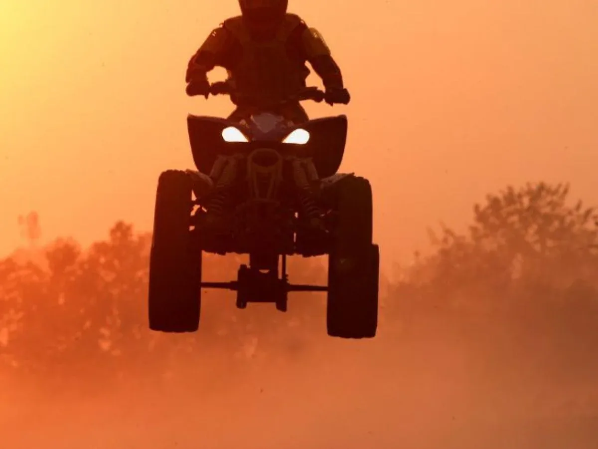 Super Safari Sunset Adventure — 7