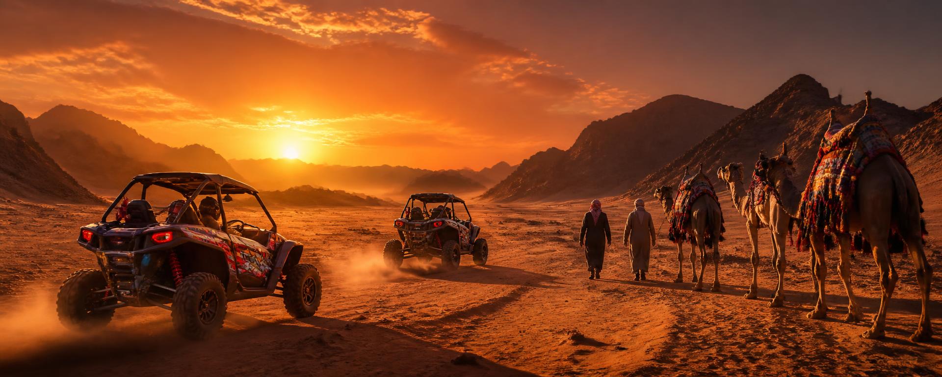 Desert safari in Sinai with dune buggies and camels at sunset